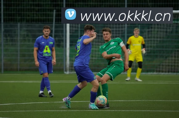 QY球友会·官方网站平台生态图